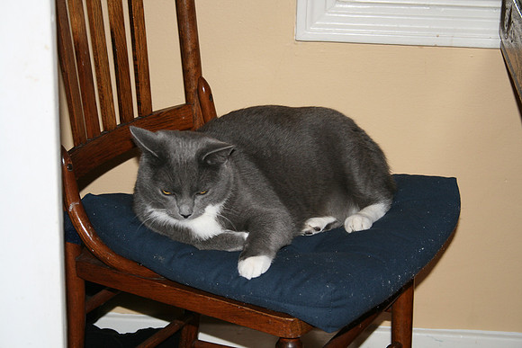 Abby