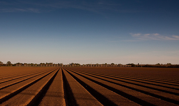 Ready for Seed Along Russel Road