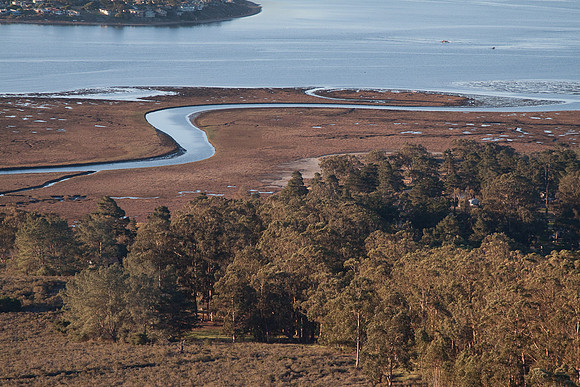 Morro Bay Estuary