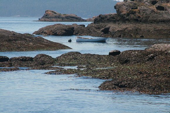 The Dingy