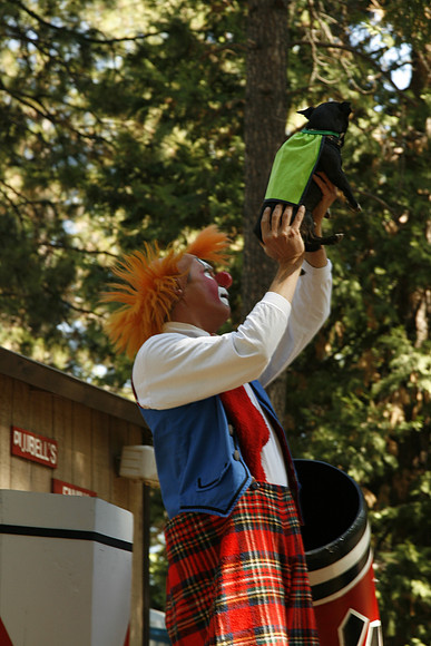 Apple Hill Clown