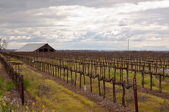 Monday on Hwy 99