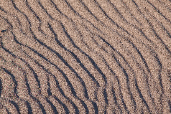 GuadalupeDunes-7584