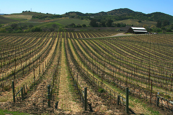 Carneros District