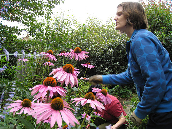 the gardener