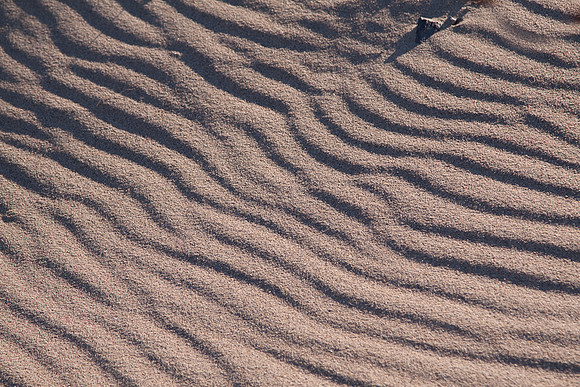 GuadalupeDunes-7580