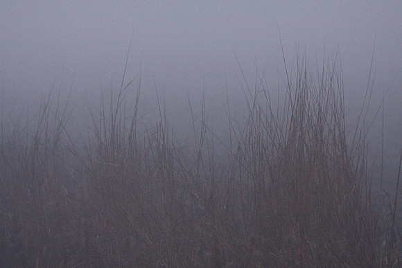 Dawn_Staten_Is.-0071