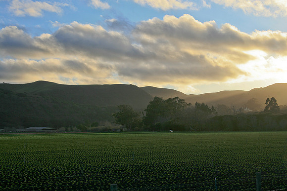 Los Osos Valley