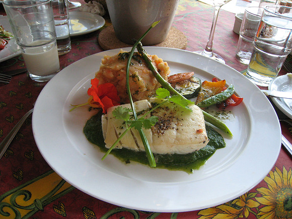Halibut