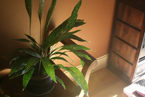 quiet corners