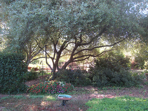 The Yard