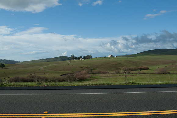Farmland along Hwy 46 - Cambria 2 Paso Robles