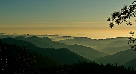 Sequoia Sunset
