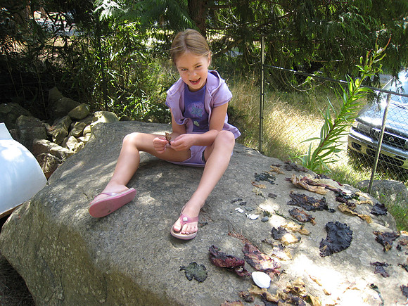 Madeleine's Seaweed Collection