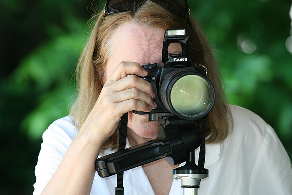 Family Photographer II
