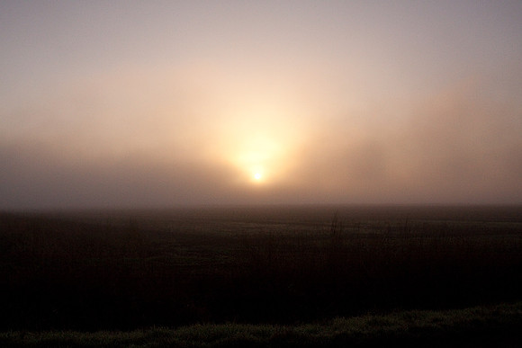 Sunrise_Staten_Is.-0113