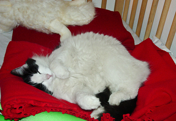 Papi May9 2005