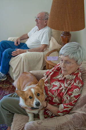 Dad's Back Home