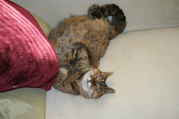 Cleo at Leisure