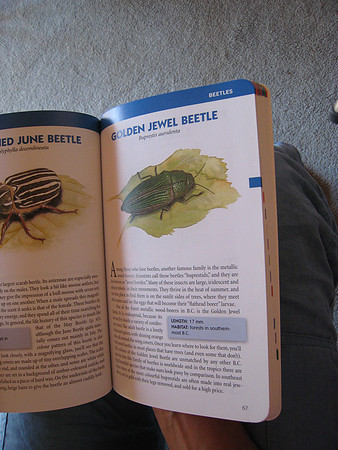 The Book!