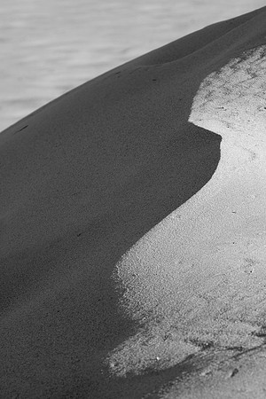 GuadalupeDunes-7569