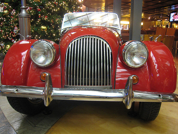 A Morgan on Our Cruse to Roatan, Honduras