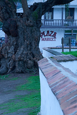 San Juan Batista