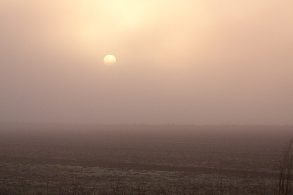 Sunrise_Staten_Is.-0109